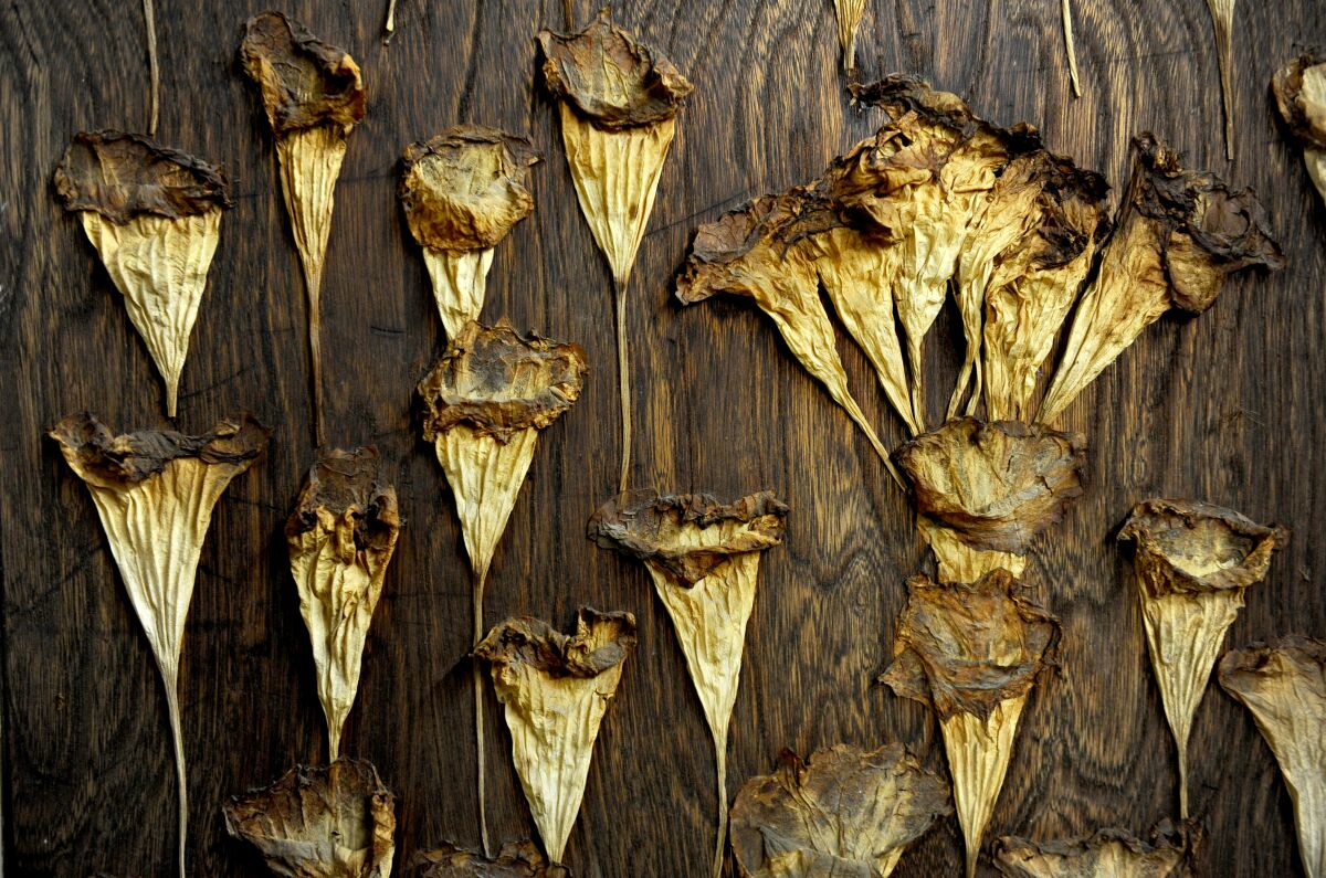 A detail from an assemblage studio shows dried flowers artfully arranged on a piece of wood.