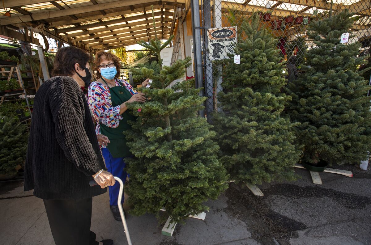 Maria Luz Lopez helps longtime customer Angela Zacarias pick out a Christmas tree at Avalon Nursery & Ceramics.