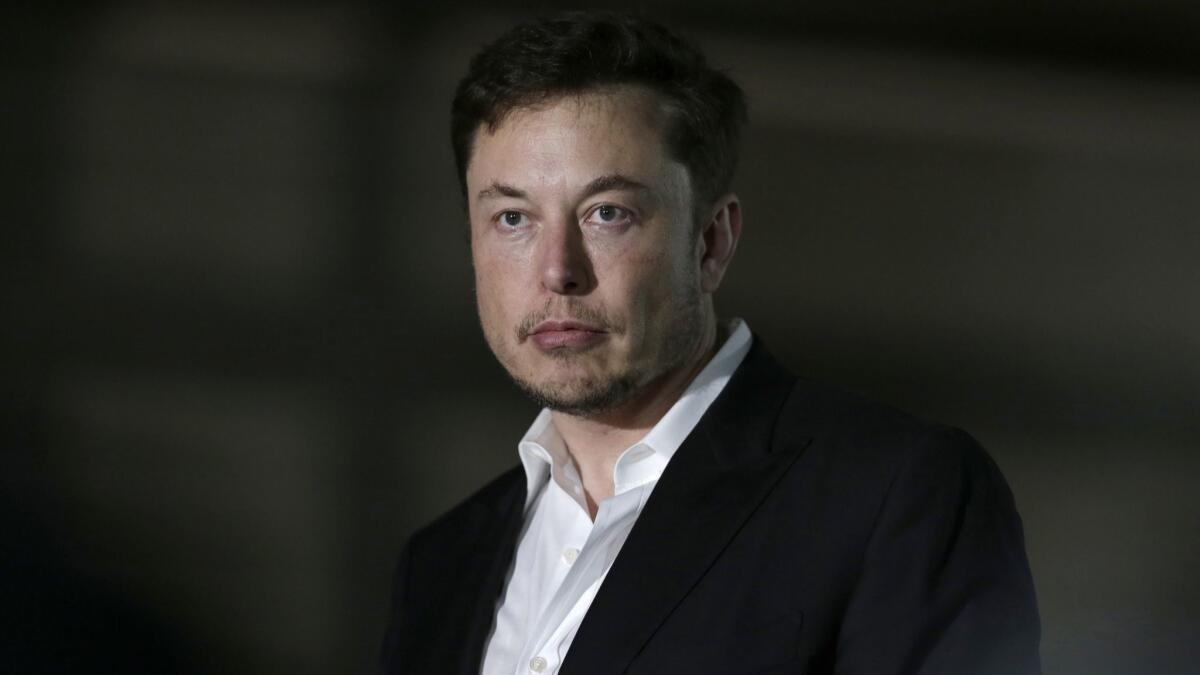 Elon Musk is Tesla's CEO and chairman.
