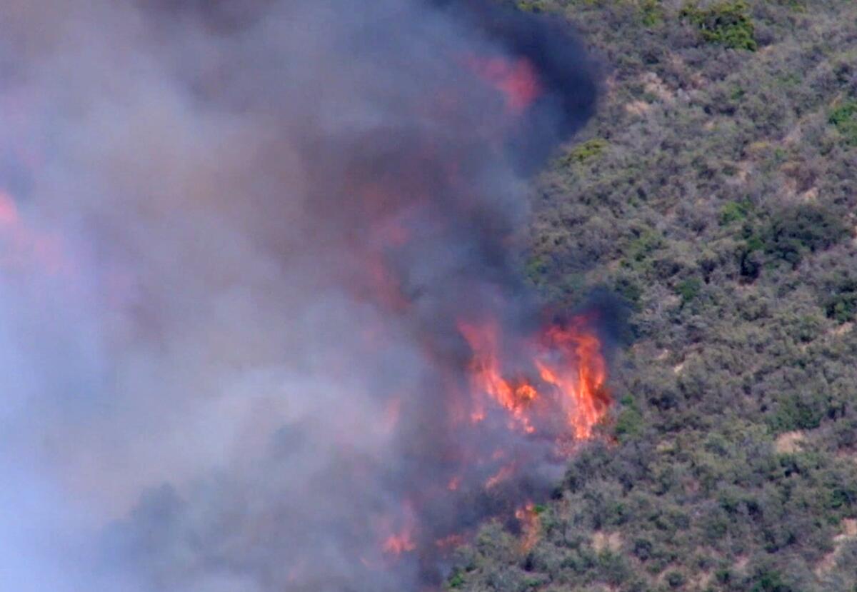 The Bonny fire burns greenery in aerial view.