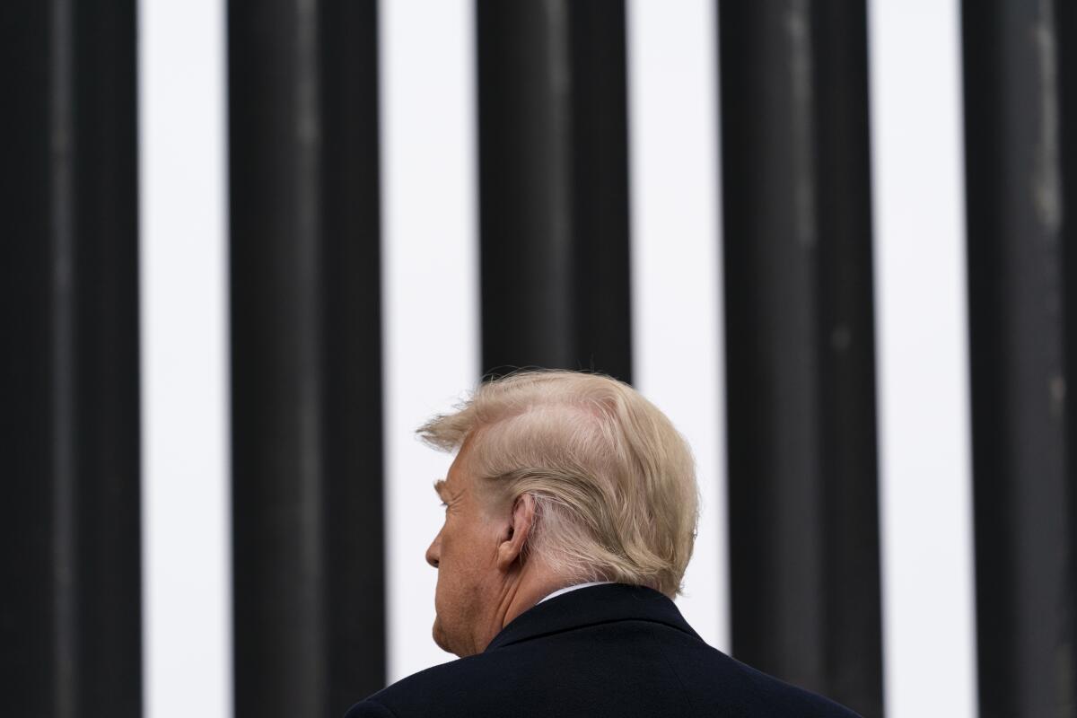 The back of then-President Trump's head in front of a border wall.