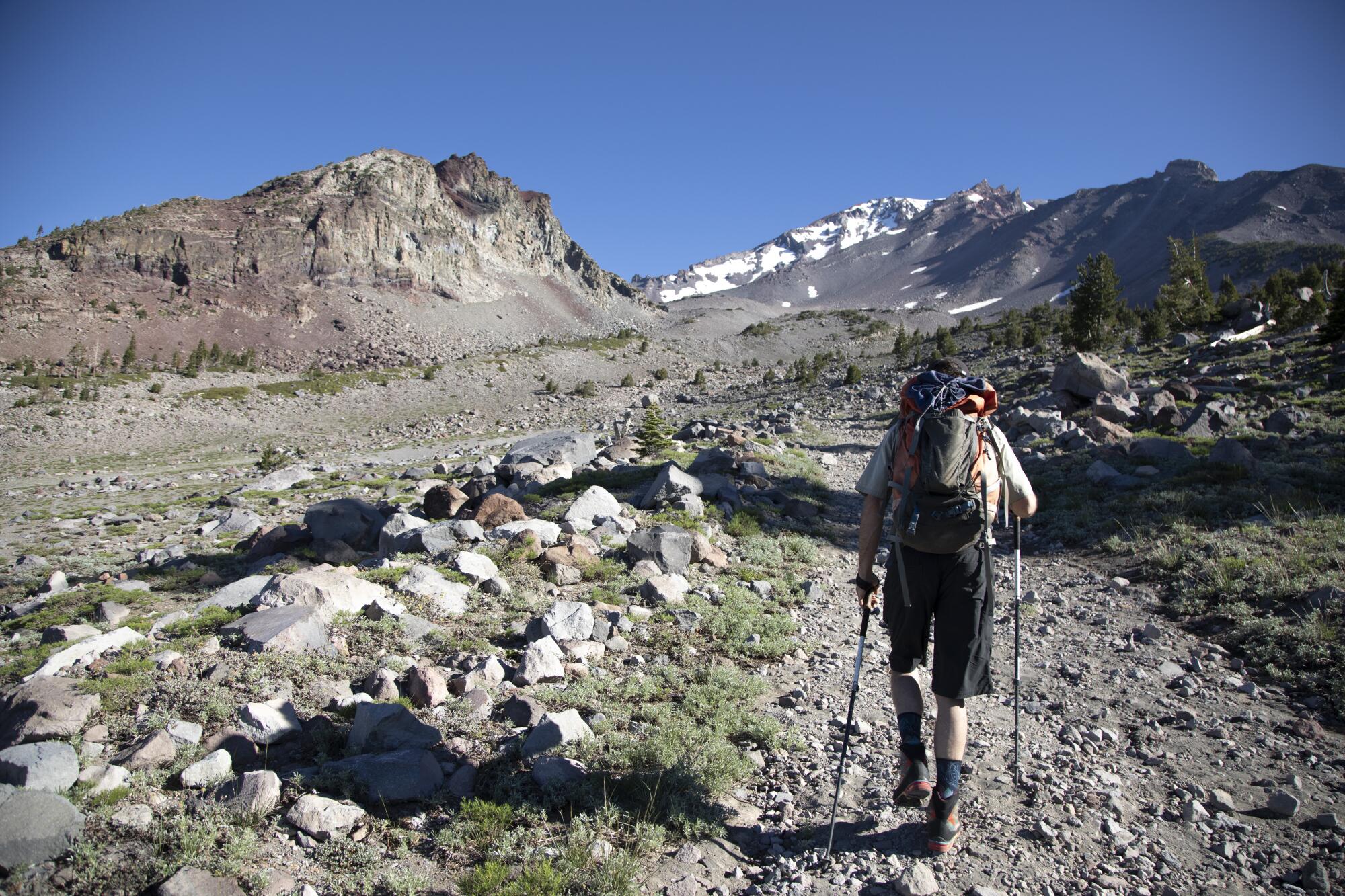 A man with a backpack and trekking poles walks away from the camera on a mountain trail
