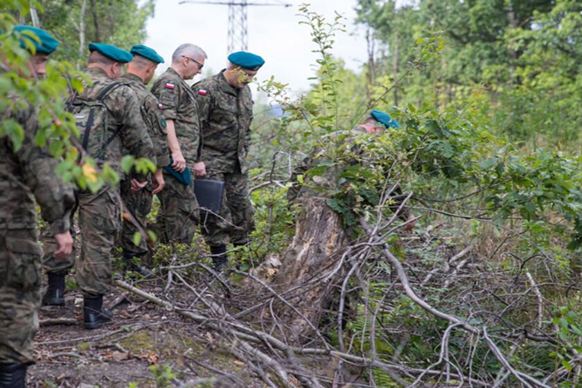On Friday, Polish soldiers from a de-mining unit examine a wooded site near Walbrzych where two treasure-hunters claim to have located a Nazi train believed to be laden with gold and weapons.