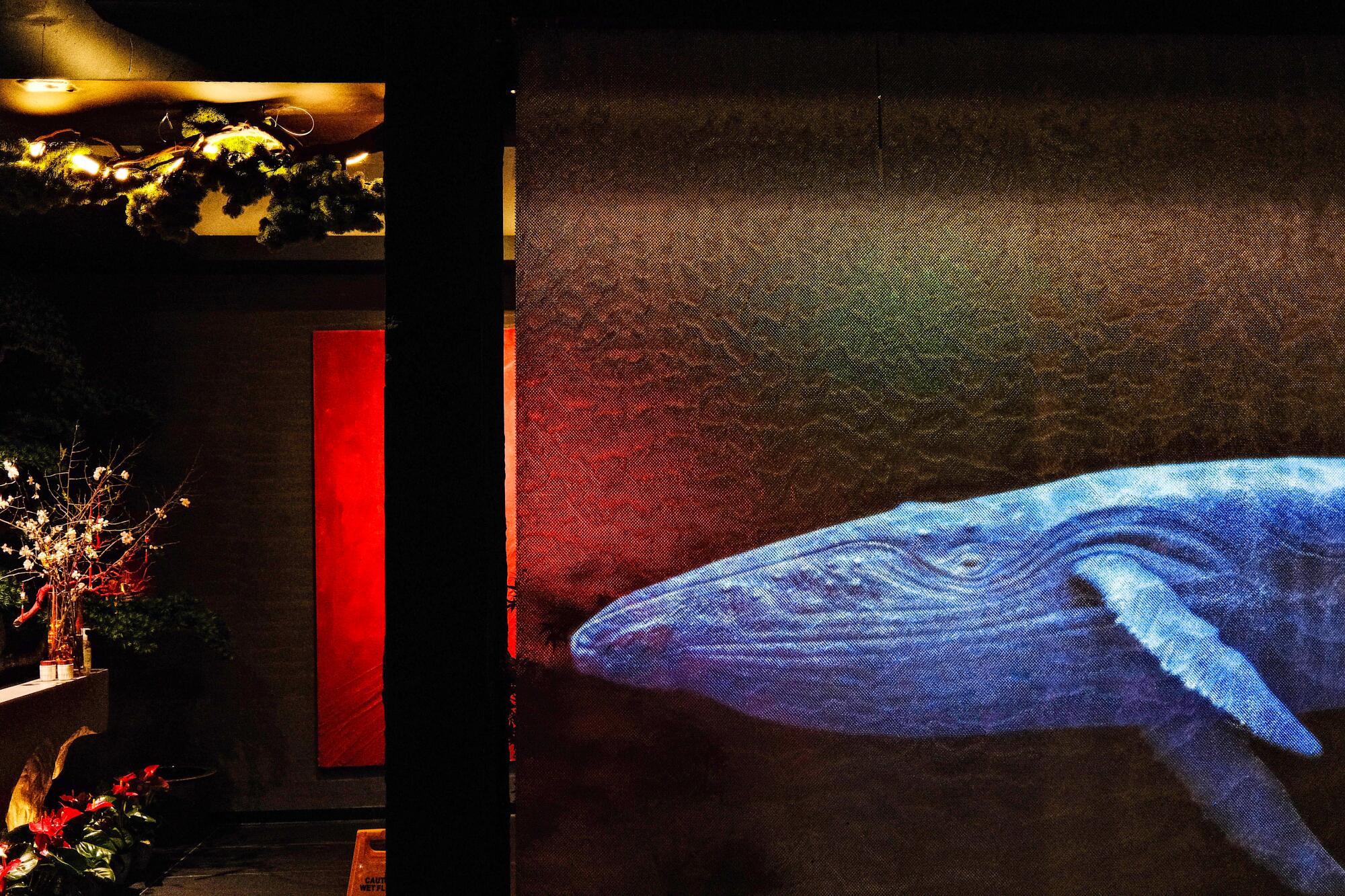 A whale swims by, projected onto a curtain in the entryway of the restaurant.