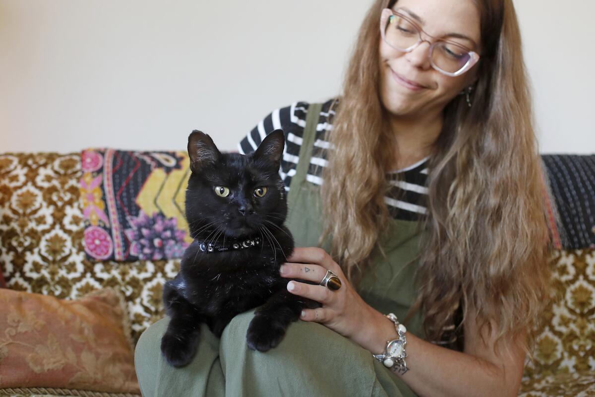 Kimbo rests on his owner Jana Sullivan's lap at their home in Anaheim. Kimbo went missing from Sullivan's Laguna Beach apartment five years ago, but the two were reunited at Catmosphere Laguna in September.