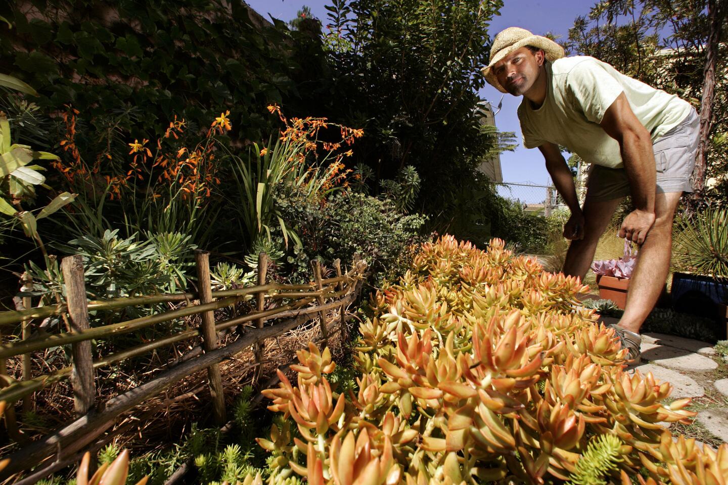 Small-space gardens