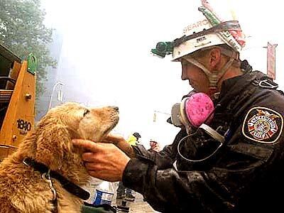 A firefighter from Northern California and his search dog are part of a search and rescue team