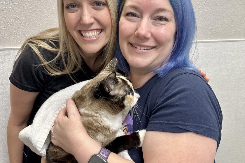 Carrie Clark (left) and Brandy Hunter (right) meet at the veterinary office after Hunter helped rescue and reunite Galena the cat with her family.