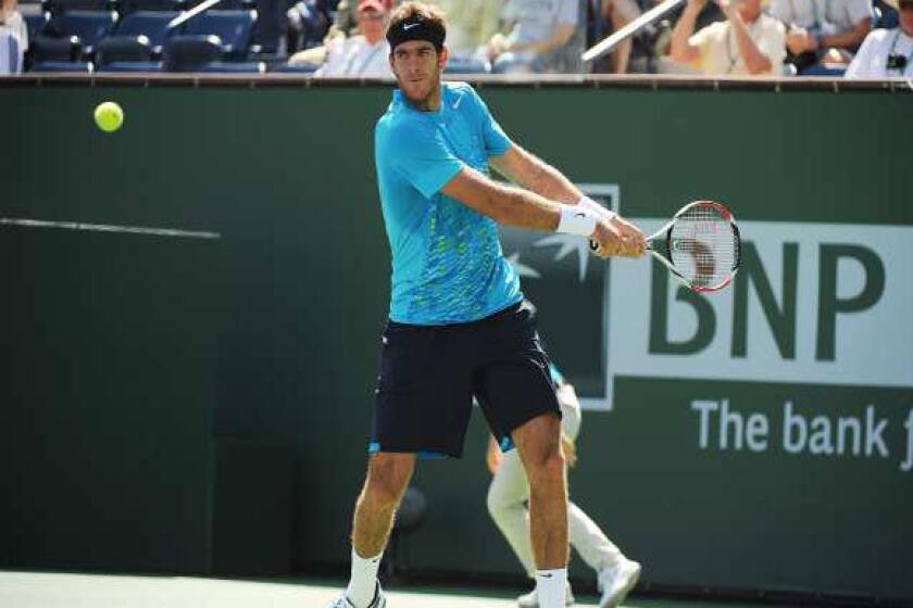 Juan Martin Del Potro returns a shot Tuesday.