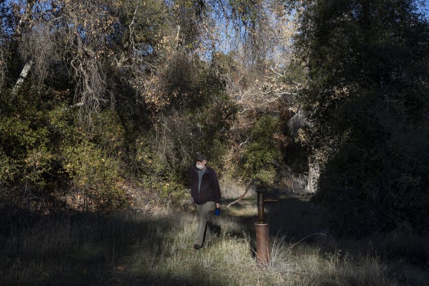 Oak Grove, California - December 09: Christopher Murphy gives a tour of the nearly 60-acre property he and his wife own in on Friday, Dec. 9, 2022 in Oak Grove, California. Murphy started losing oak trees on his property in 2015 from drought and the Western Oak Bark Beetle. A year later he started losing them to Goldspotted Oak Borer, also known as GSOB. Murphy has rallied residents of town to fight the invasive beetle. He is a part-time resident and advocated for funding for brush clearing. He had the roadside along his property masticated, mostly chaparral, in late September and early October to help prevent fires. The funding for the clearing came from San Diego Gas & Electric and was managed by the Resource Conservation District. The project cleared brush from roadsides in the Oak Grove community. (Ana Ramirez / The San Diego Union-Tribune)