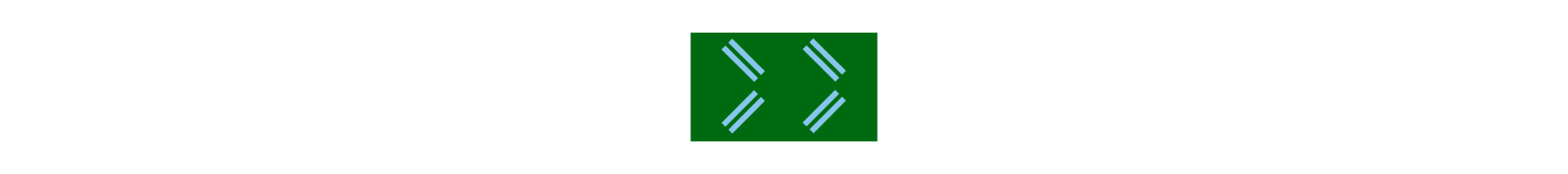 flag icon