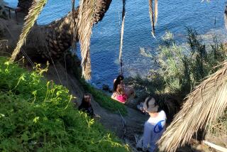 Users on the makeshift 'secret swing' that is tied to a tree on the bluffs next to Coast Walk Trail.