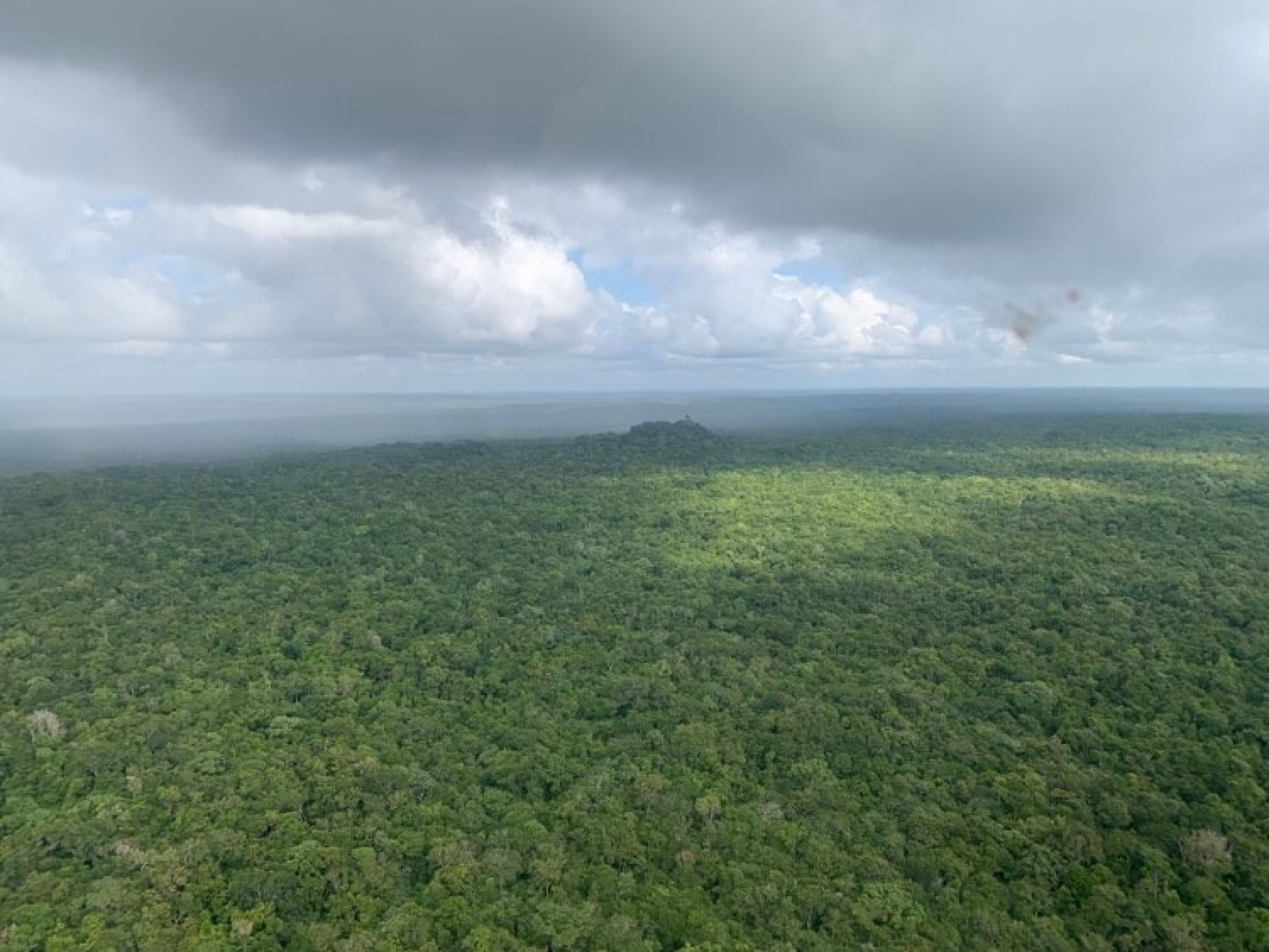 Aerial view of the archaeological site of El Mirador in the Peten province of Guatemala.