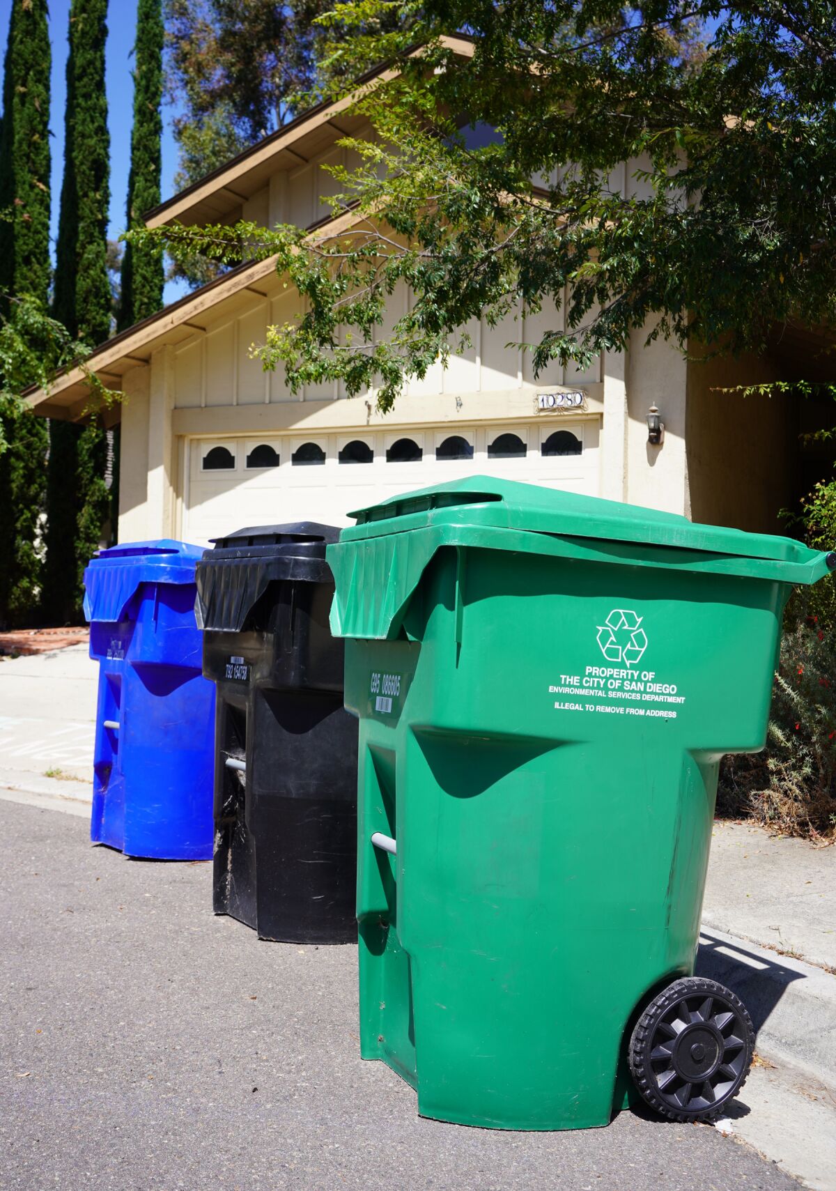 A new organic waste recycling bin joins the familiar black trash bin and blue recycling bin.