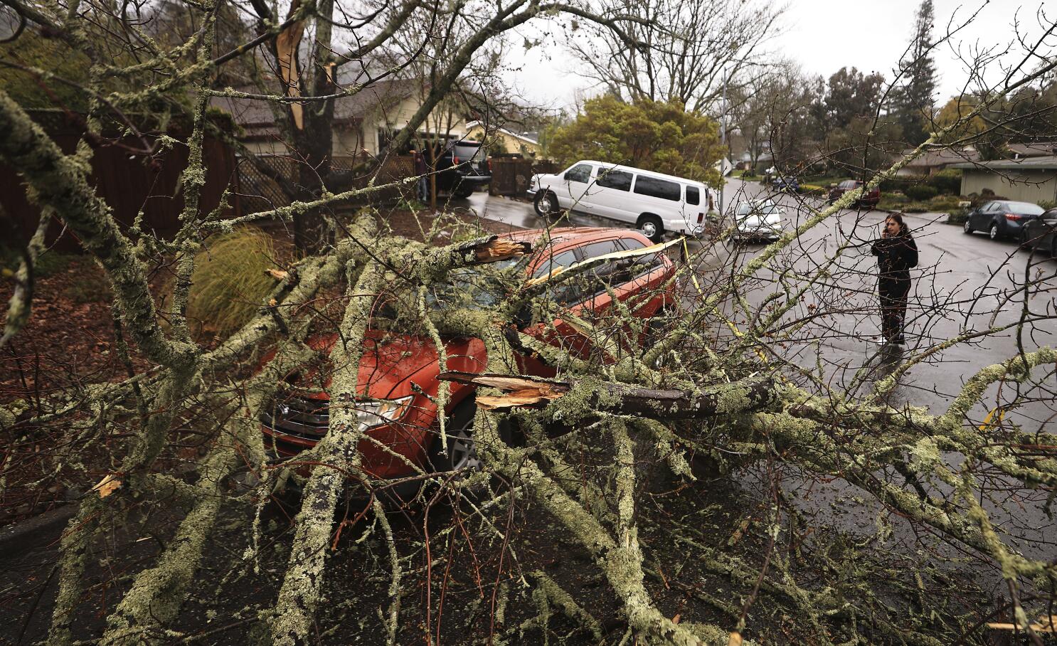 Storm Video: Trees falling due to high winds across the region