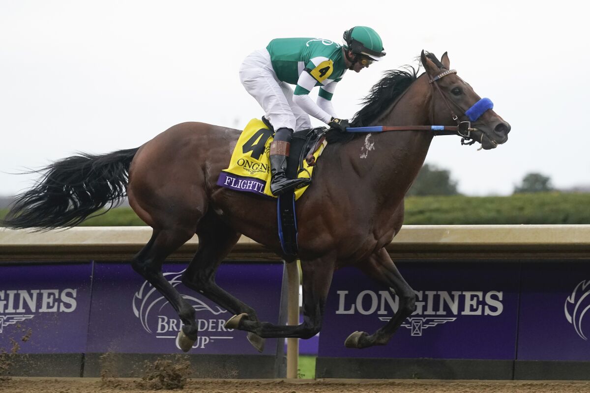 Breeders Cup Classic Champion Flightline Retired To Stud Los Angeles breeders-cup-classic-champion-flightline-retired-to-stud-los-angeles
