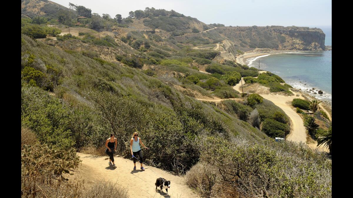 Visitors walk up the Abalone Cove Trail on the Palos Verdes coastline.