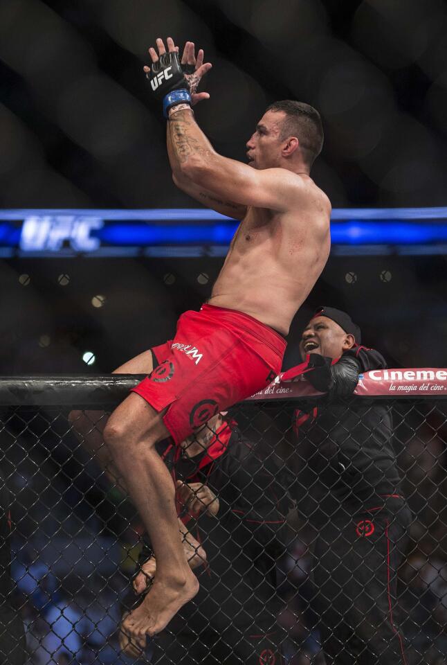 Fabricio Werdum