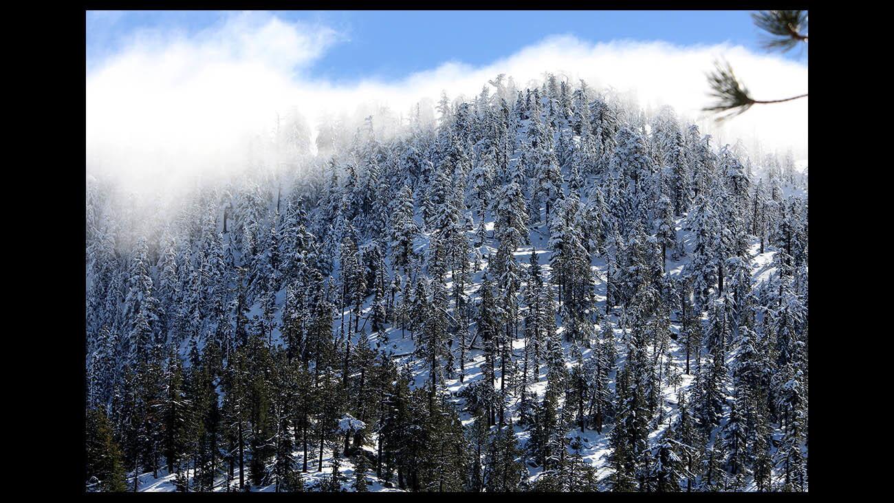 Photo Gallery: Winter wonderland at higher elevations of San Gabriel Mountains after recent storms