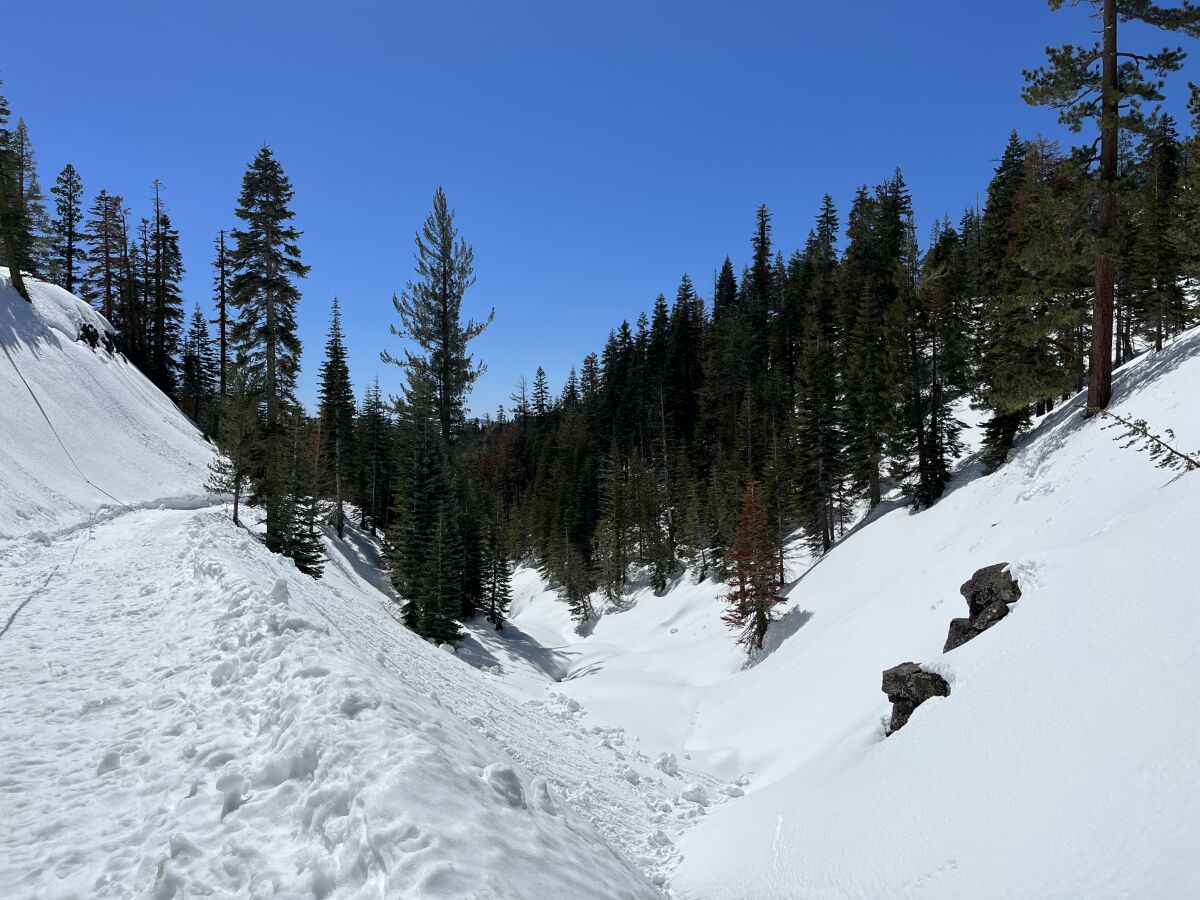 A snowy hillside near Donner Pass.
