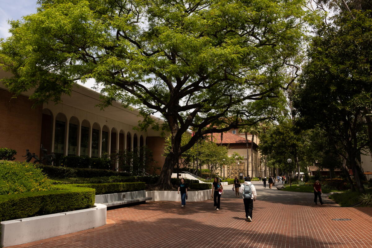 Araid 5000 'USC is not afraid to change.' New provost vows to rebuild lost trust ...