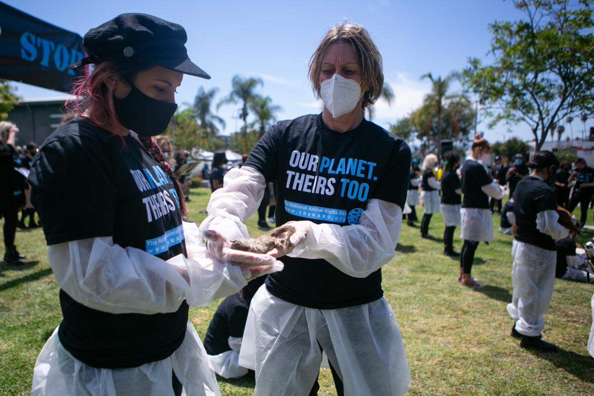 People wear masks during an animal-rights protest in Los Angeles on June 6. 