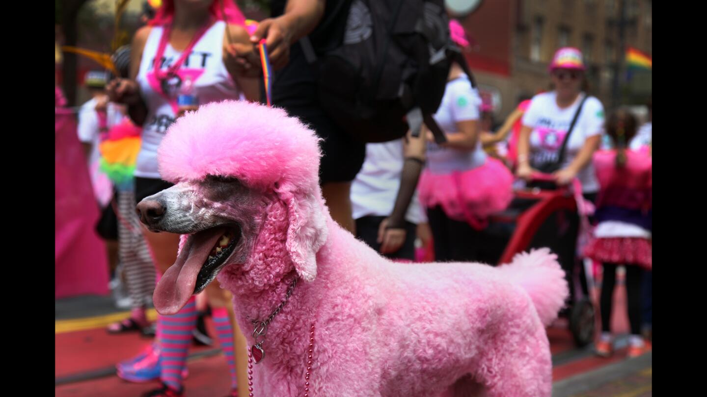 San Francisco Pride Parade