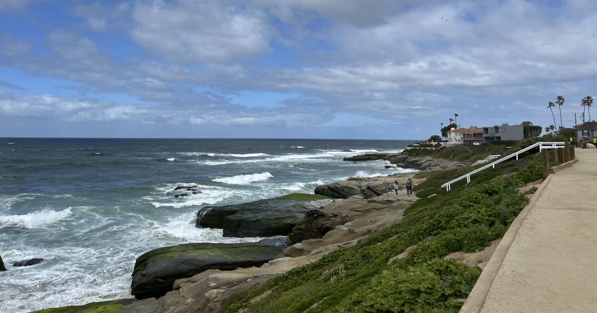 La Jolla Town Council coastal forum airs concerns about sea lions, bluffs  and Gliderport - La Jolla Light