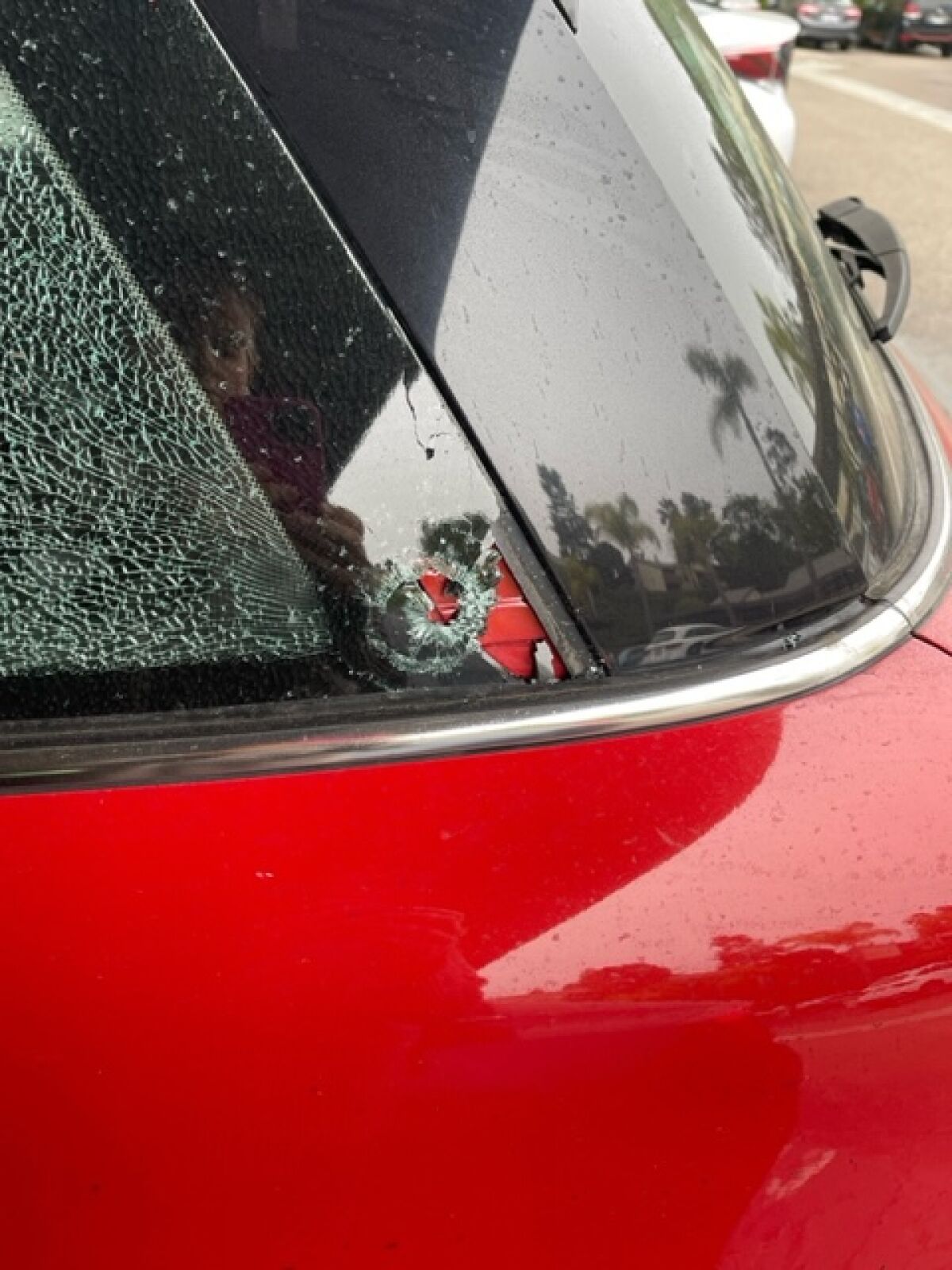 This round hole is believed to have been caused by a gun fired at a car on Gilman Drive in La Jolla.