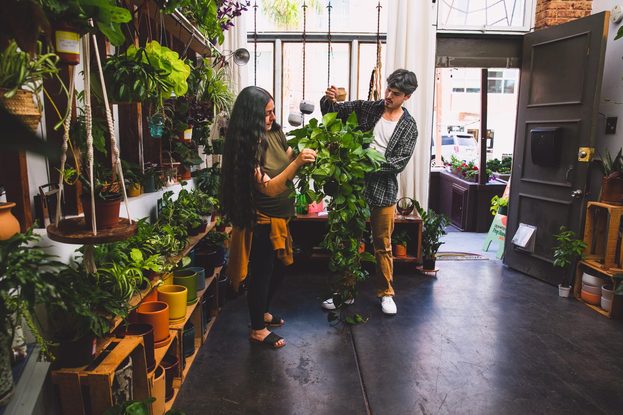 A young woman and a young man lift a plant from the ground.  They are surrounded by pots and plants on the shelves.