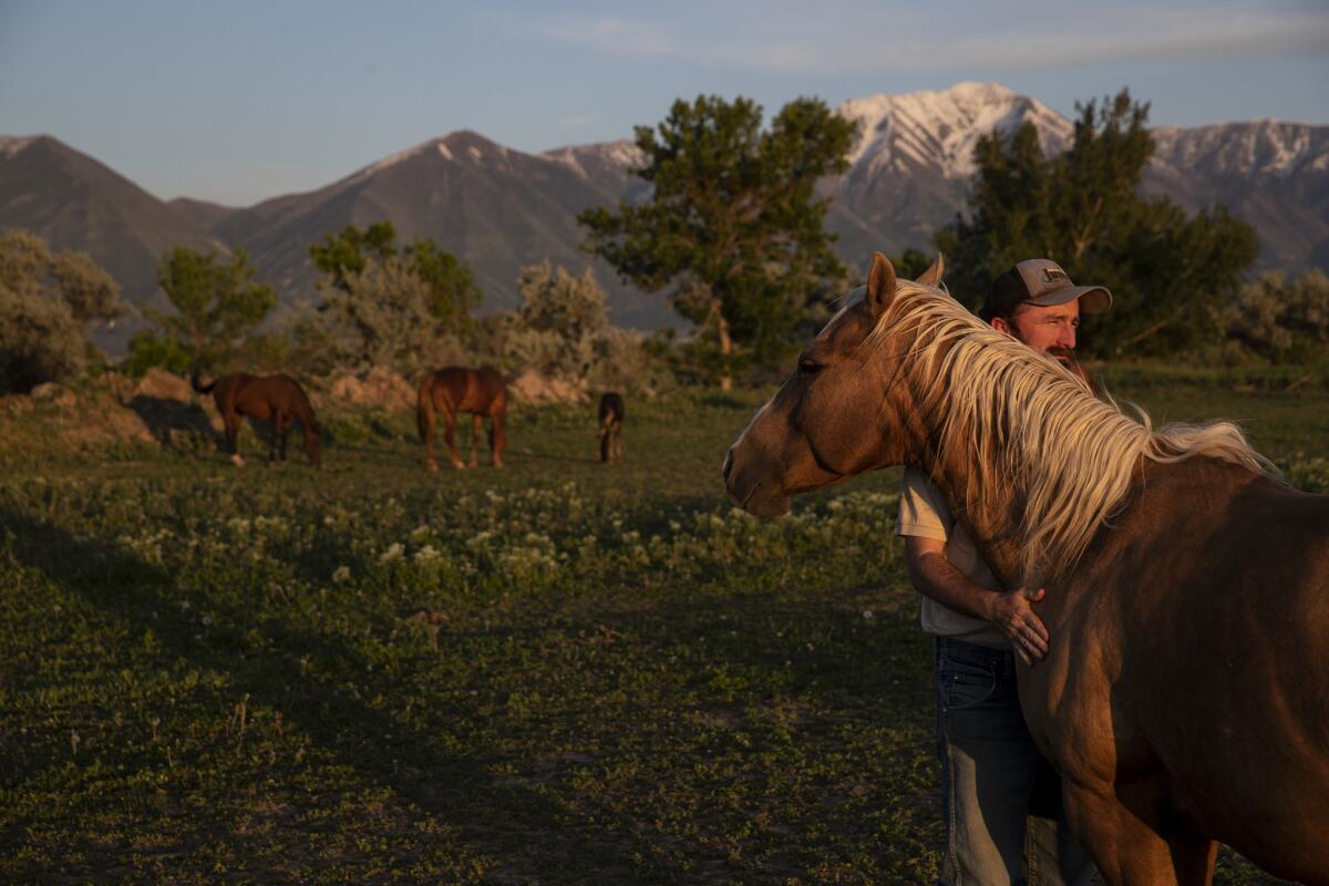 Nathan Ivie with horses he raises and trains on his ranch in Benjamin, Utah.