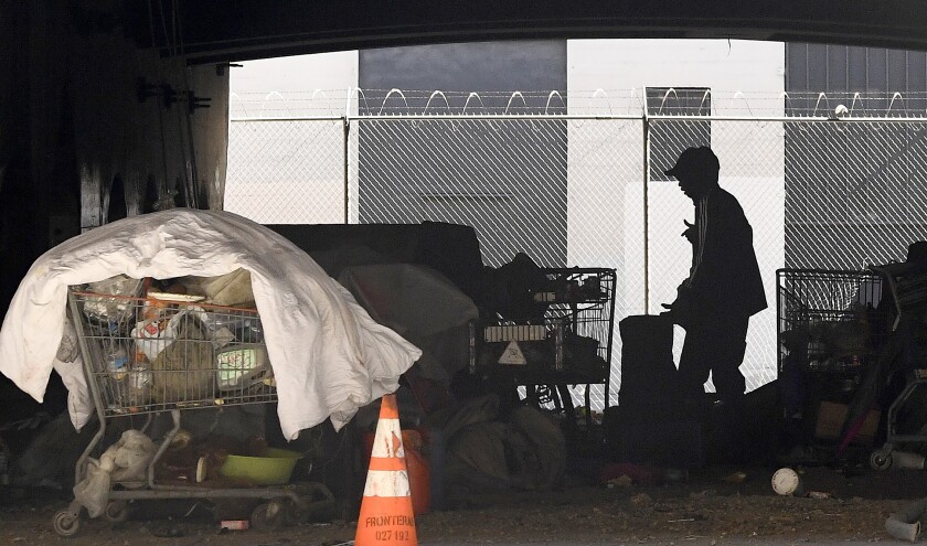 FILE - In this May 21, 2020, file photo, a man is seen at a homeless encampment that sits under Interstate 110 near Ramirez Street during the coronavirus outbreak in downtown Los Angeles. California launched a new database on Wednesday, April 7, 2021, that collects information on the homeless, including their race and ethnicity, gender, and age and which services they sought and received. (AP Photo/Mark J. Terrill, File)