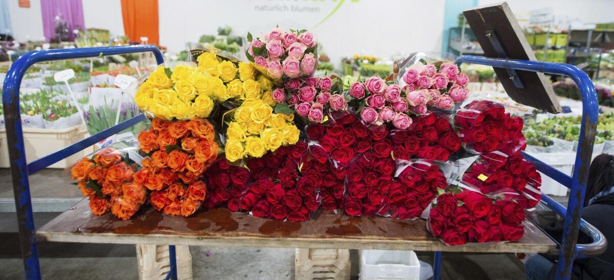 Varios ramos de rosas de distintos colores son puestos a la venta con motivo del Día de San Valentín.