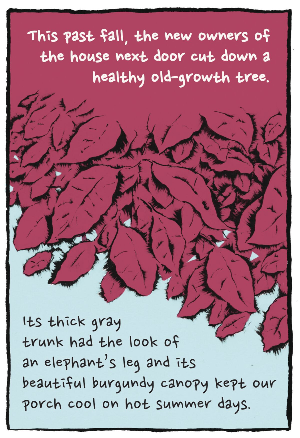 Illustration of red leaves. "This past fall, the new owners of the house next door cut down a healthy old-growth tree."