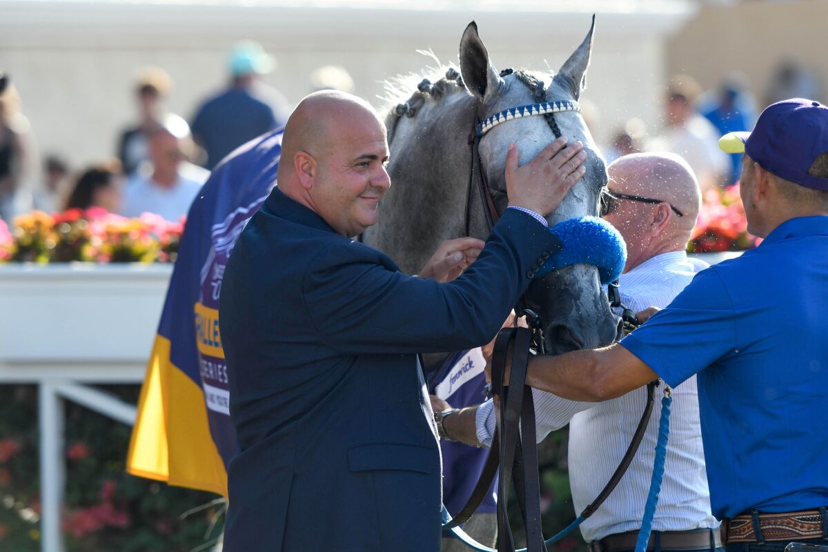 American Theorem wins first Grade I race