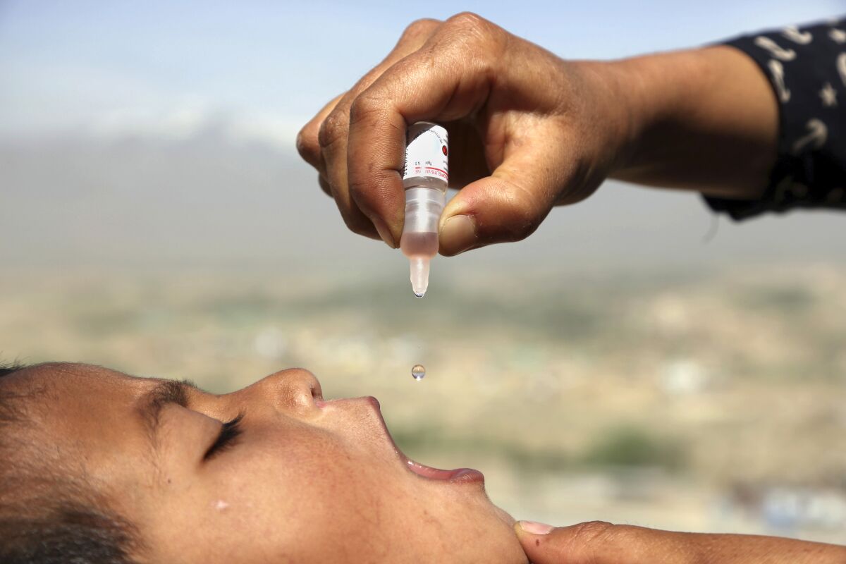 Un trabajador de salud de Afganistán administra la vacuna oral contra la poliomielitis a un niño 