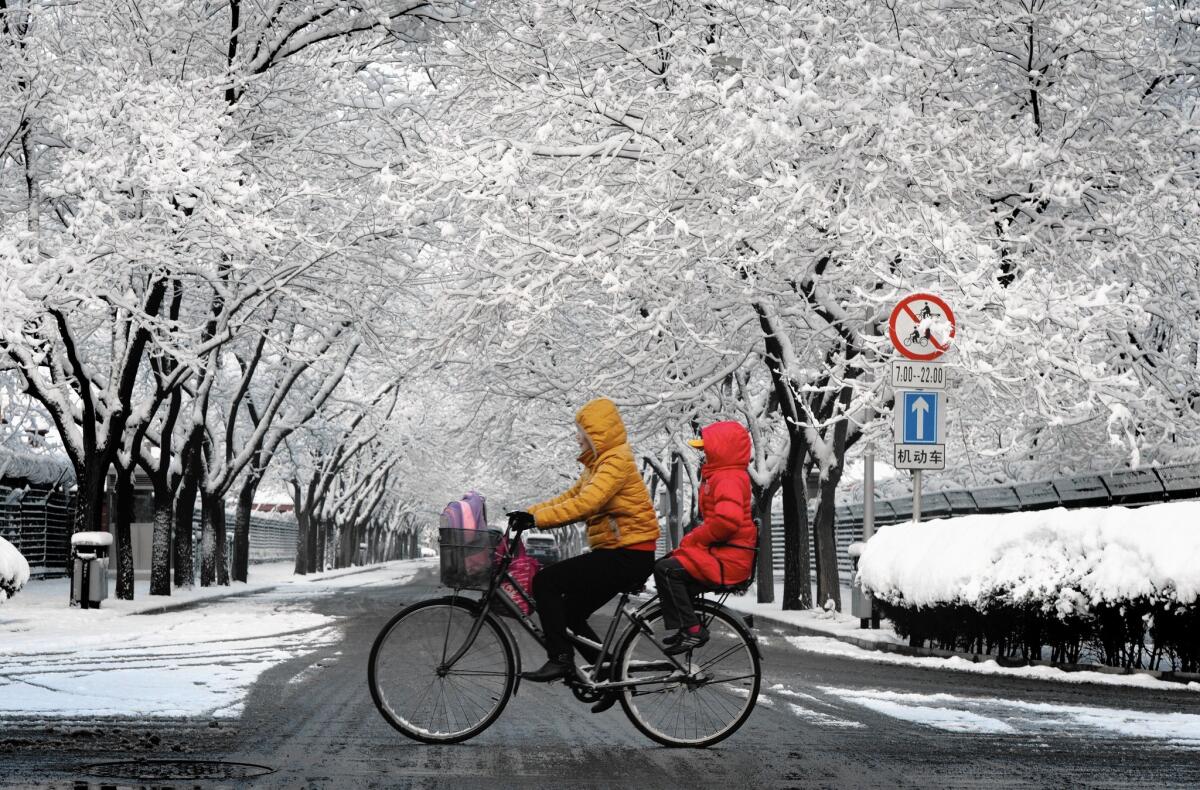 Snow coats trees in Beijing, which is on the receiving side of a line determining who gets central heat.