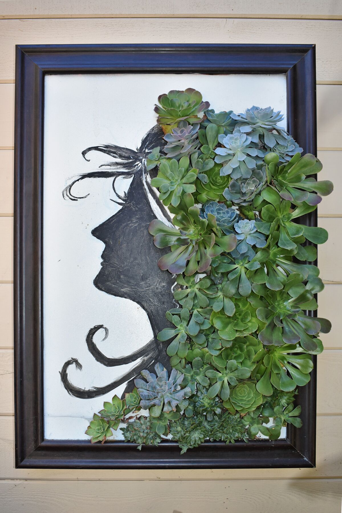 Olive Teodoro decided to create a portrait of a lady, with succulents as her hair. Her husband Arturo made the frame.