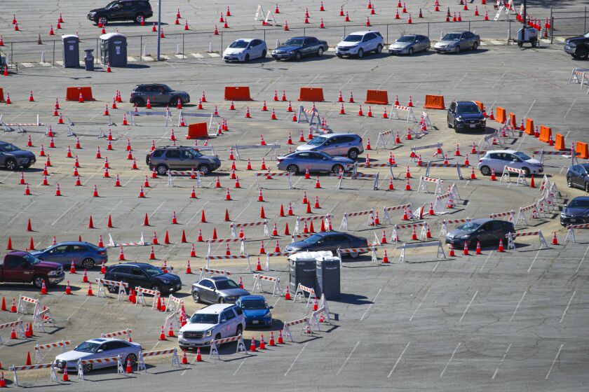 Los Angeles, CA - January 30: Cars with people coming for COVID-19 vaccine go through a maze of orange cones at Dodger Stadium on Saturday, Jan. 30, 2021 in Los Angeles, CA.(Irfan Khan / Los Angeles Times)