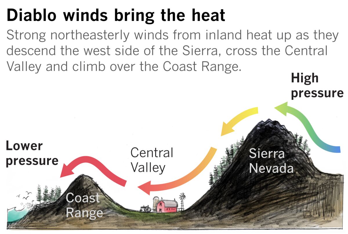 Winds heat up as they hurdle down mountain slopes.