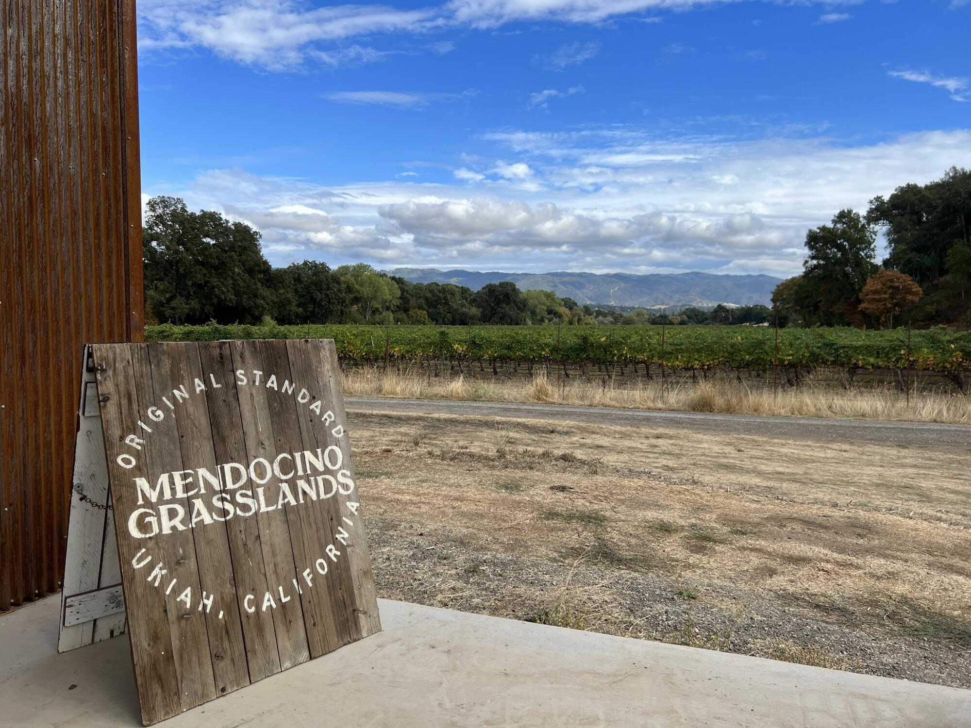 A field of grapevines in the background with a weathered wooden sign that reads Mendocino Grasslands.