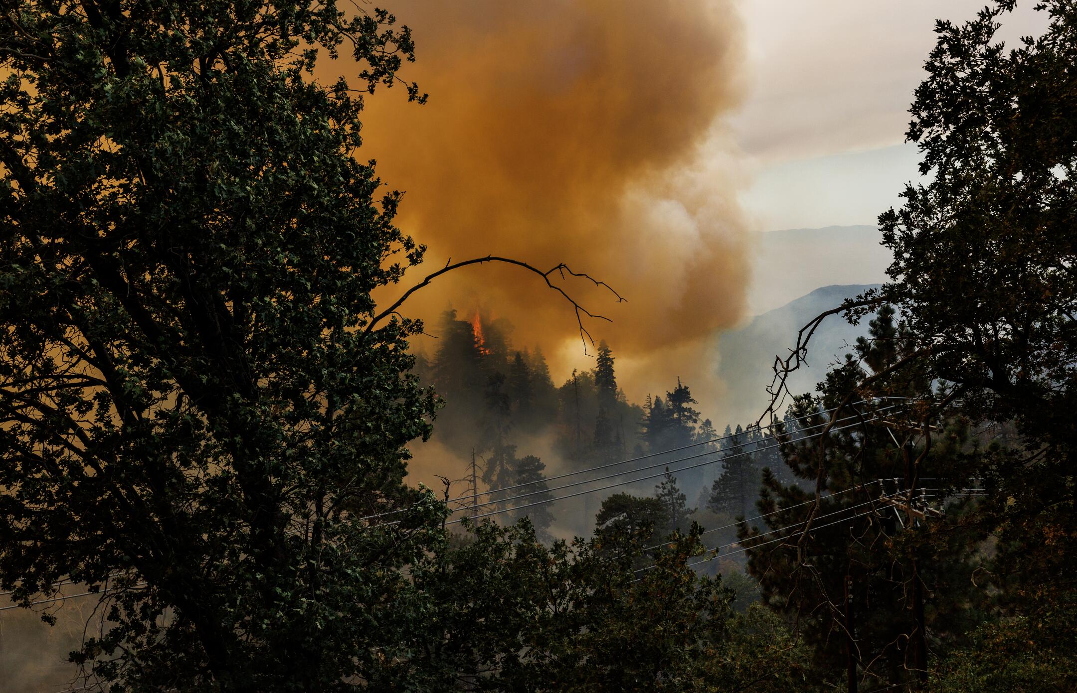 Mother defends man accused of arson in Line wildfire - Los Angeles Times