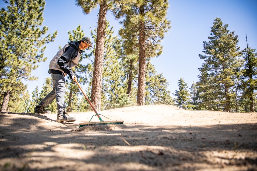 A trail worker prepares the ground for summer mountain bike season at Snow Summit.