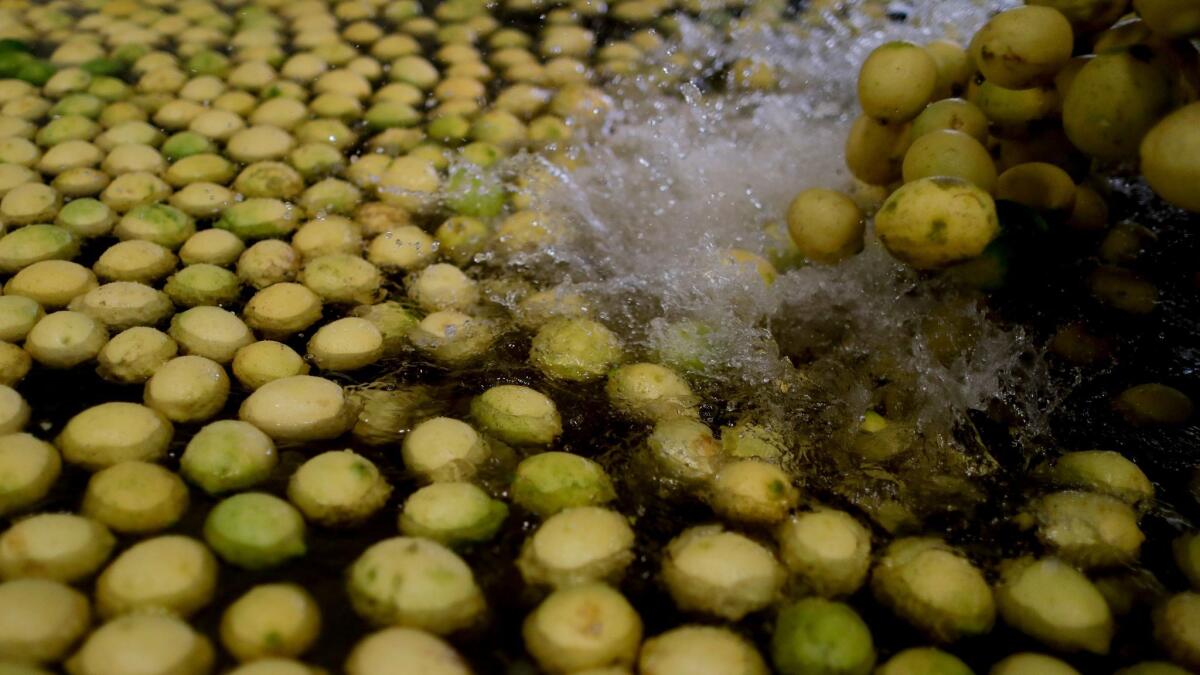 Lemons are washed at a plant in Tucuman, Argentina.
