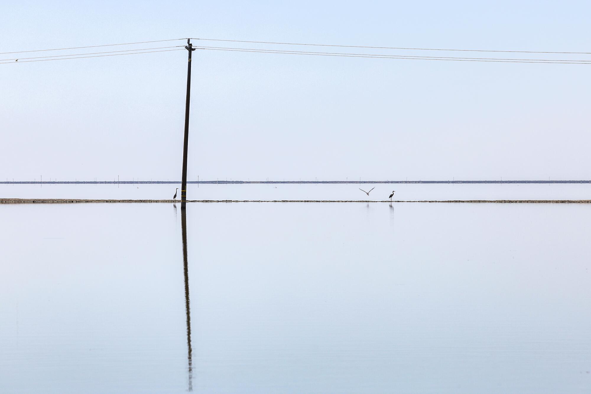 The sun’s reflects off the still waters of Tulare Lake across a vast horizon.