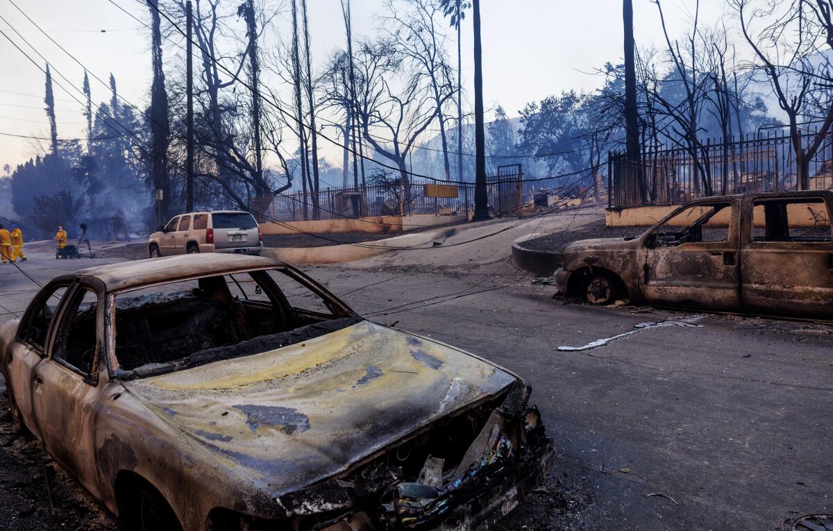 Power lines are down across East Pine Street near torched cars during the Eaton fire.