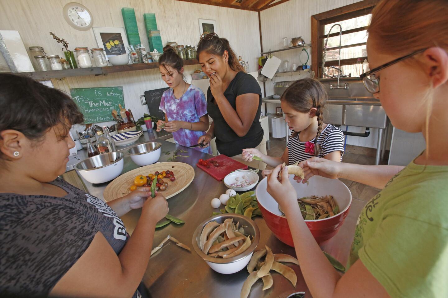 Taking the Reins kitchen