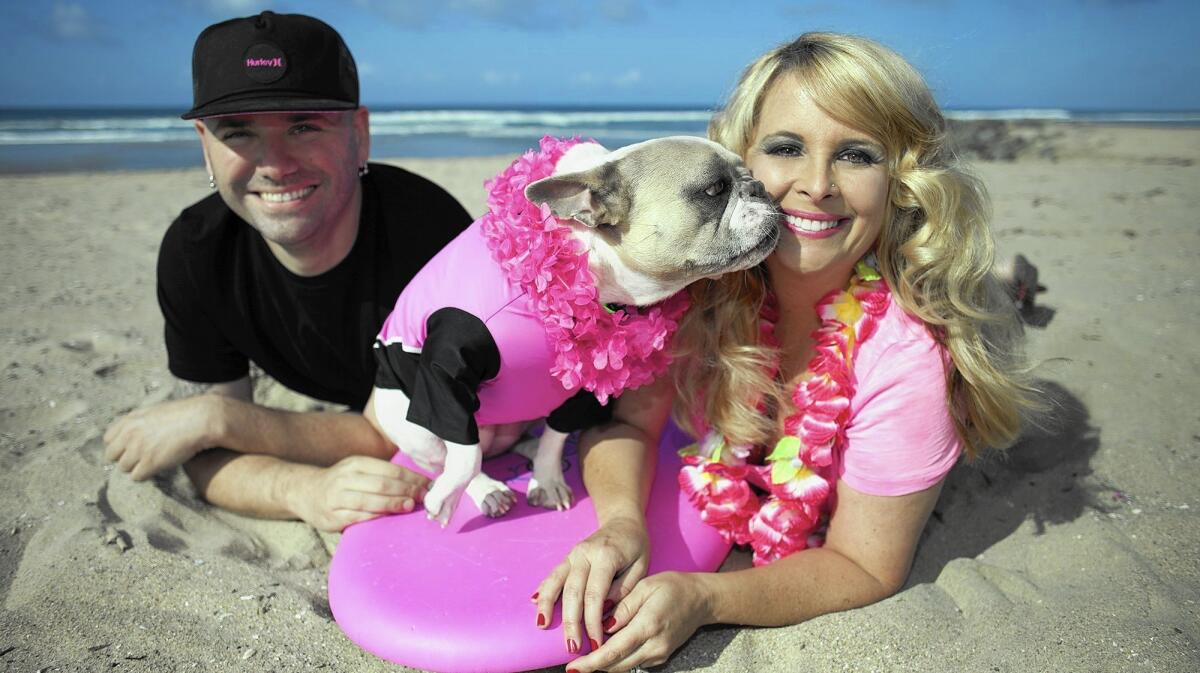 Dan and Amy Nykolayko hang out with Cherie, their surfing French bulldog, in Newport Beach.