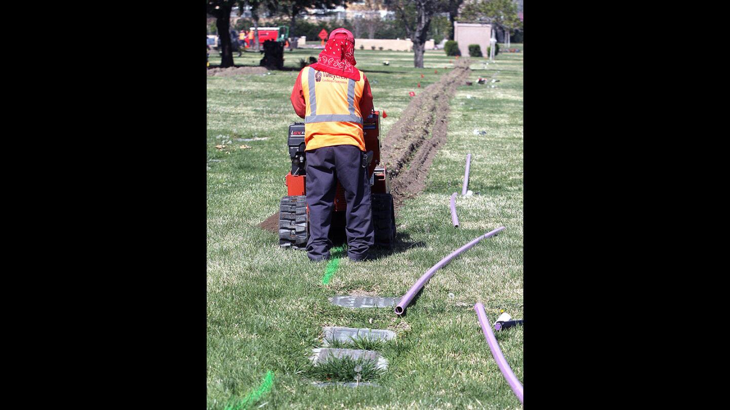 Photo Gallery: Valhalla Memorial Park gets retrofit with sprinklers that use reclaimed water