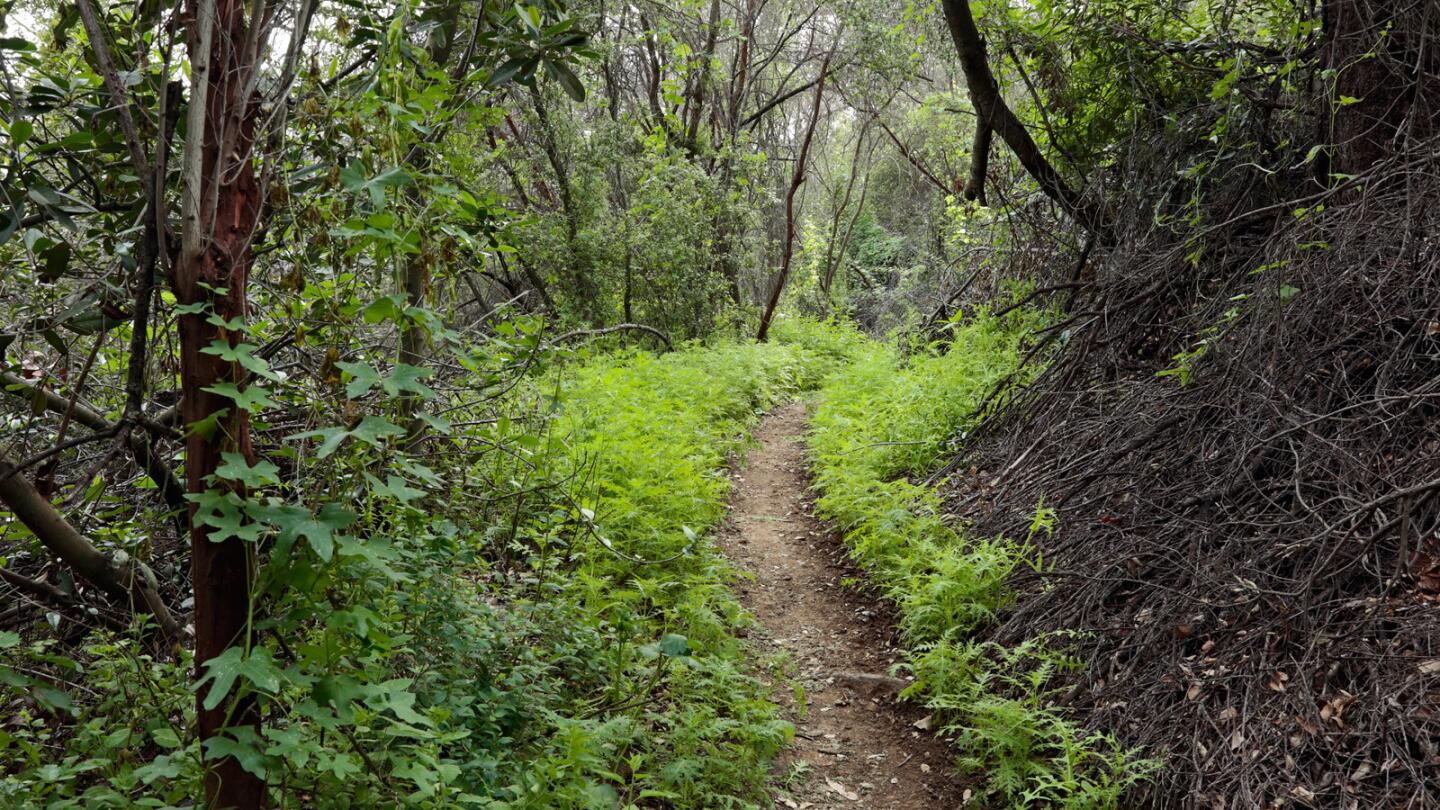 Malibu Creek State Park